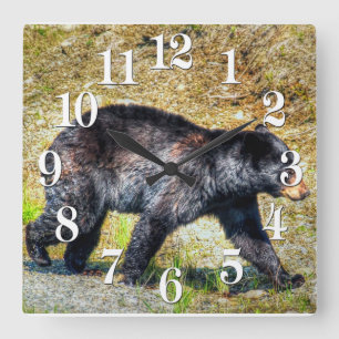 Wandern Schwarzer Bär Wildlife Foto Quadratische Wanduhr