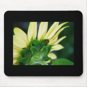 Wandernder Marienkäfer Mousepad