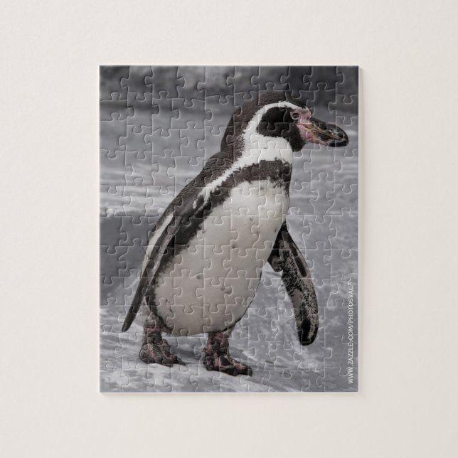 Wanderpinguin Puzzle (Vertikal)