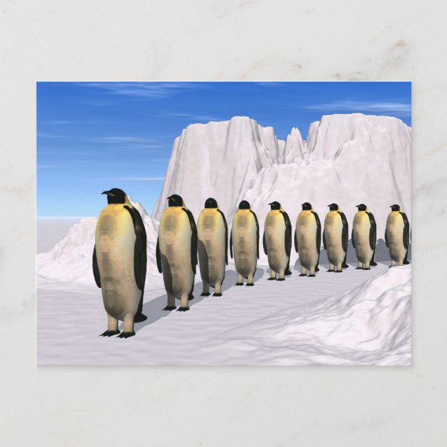 Wanderpinguine Postkarte (Vorderseite)