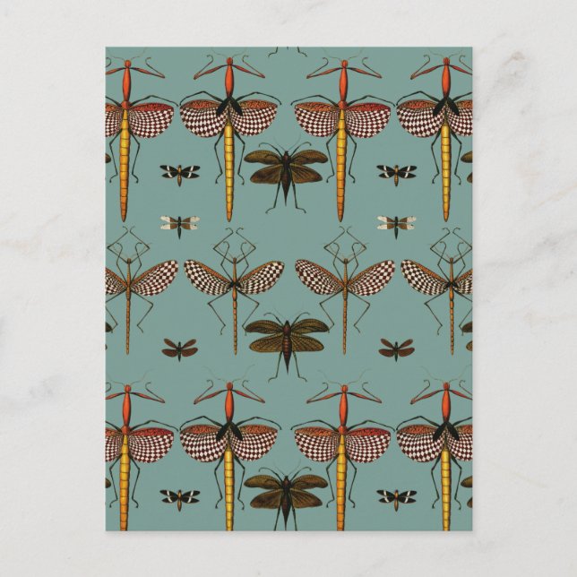 Wandersticks, Katydids und Libellen Postkarte (Vorderseite)