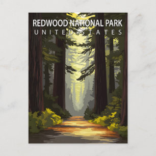 Wanderung durch den Redwood-Nationalpark Postkarte