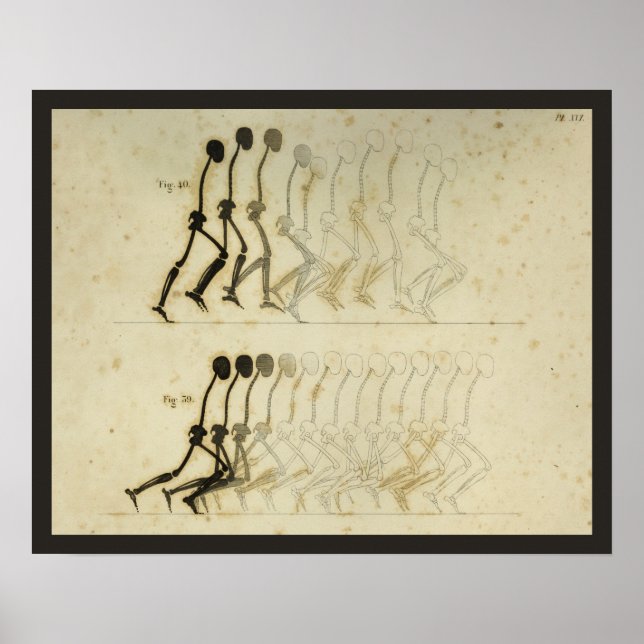 Wanderung Gait Analysis Leg Spine Chiropractic Cha Poster (Vorne)