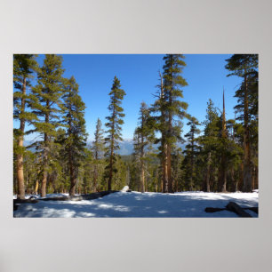 Wanderung hinab von Mitchell Peak im Sequoia Poster