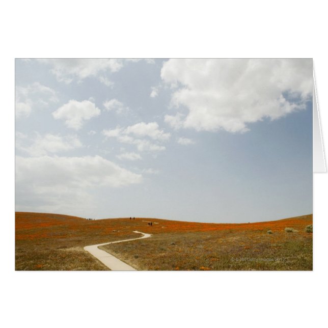 Wanderweg (Vorderseite (Horizontal))