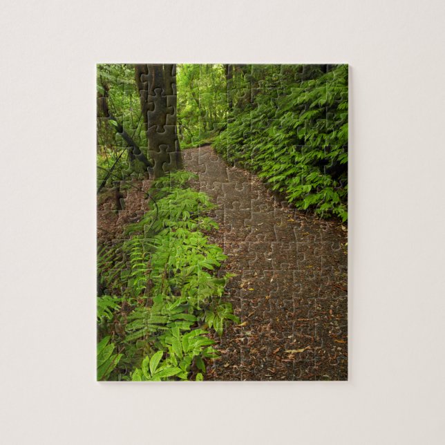 Wanderweg durch den Wald (Vertikal)