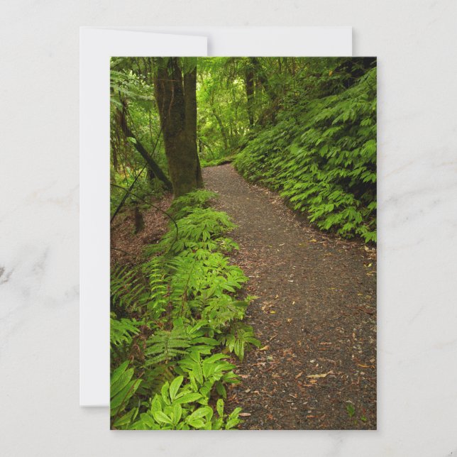 Wanderweg durch den Wald Dankeskarte (Vorderseite)