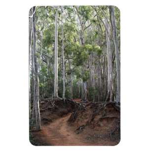 Wanderweg Foto Magnet
