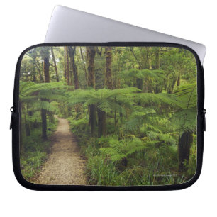 Wanderweg im Regenwald mit Farnbäumen - Laptopschutzhülle