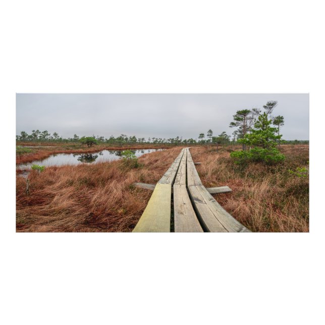 Wanderweg im Sumpf Fotodruck (Vorne)
