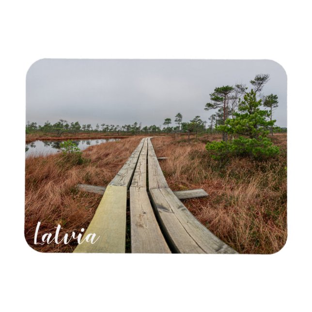Wanderweg im Sumpf Magnet (Horizontal)