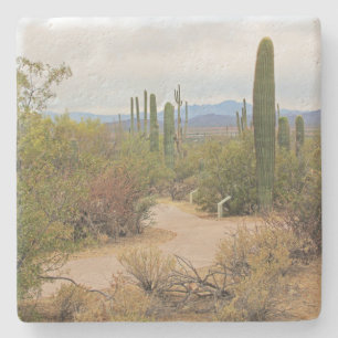 Wanderweg in der Wüste von Arizona, q Untersetzer