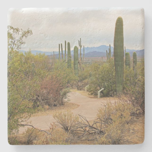 Wanderweg in der Wüste von Arizona, q Untersetzer (Vorderseite)