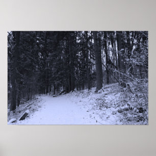 Wanderweg mit Schnee bedeckt 2 Poster