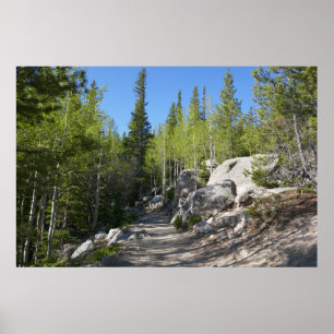 Wanderweg nach Alberta Falls Poster