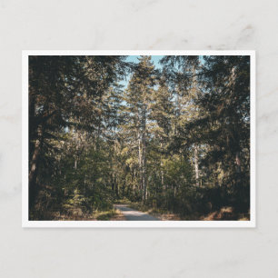 Wanderweg Postkarte