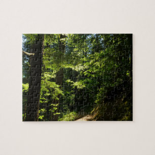 Wanderweg von Silver Falls