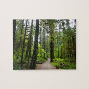 Wanderweg zu den Marymere Falls II