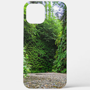 Wanderwege Bach Wind in grüne Wände des Fern Canyo Case-Mate iPhone Hülle