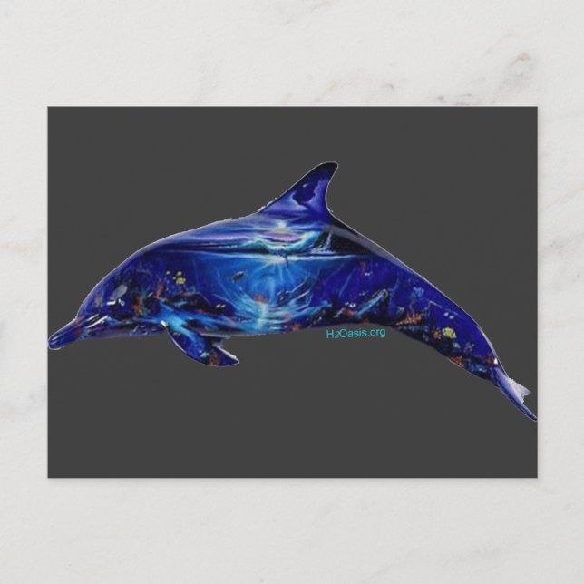 Wandgemälde im Delphin Postkarte (Vorderseite)