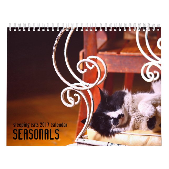 Wandkalender der Schlafenkatzen 2017 (Titelbild)