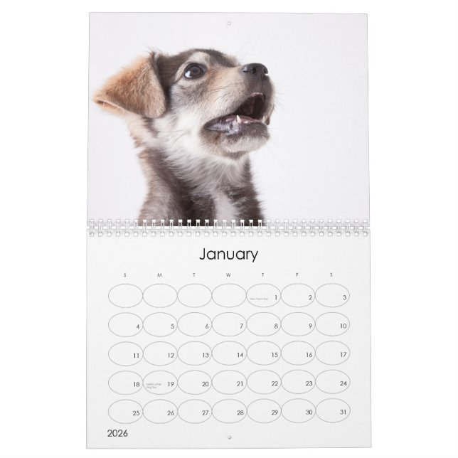 Wandkalender der Schutz-Welpen-2012 (Jan 2026)