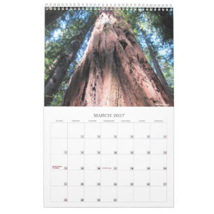 Wandkalender Richardson Grove CA - Einzelblatt