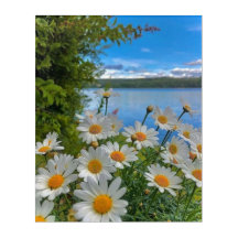 Wandkunst: Beautist deine Wand 🌻 ☀️
