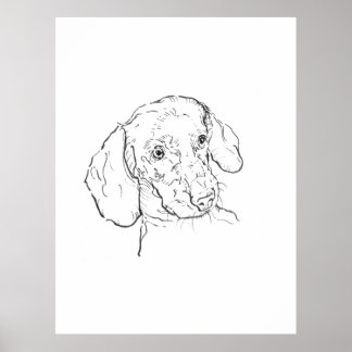 Wandkunst Druck, Dachshund, Wiener Hund Poster