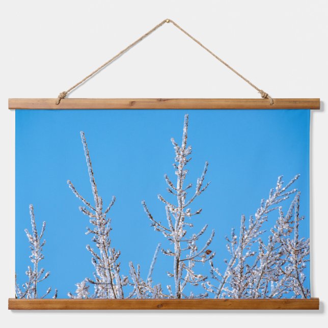 Wandteppiche (Vorne)