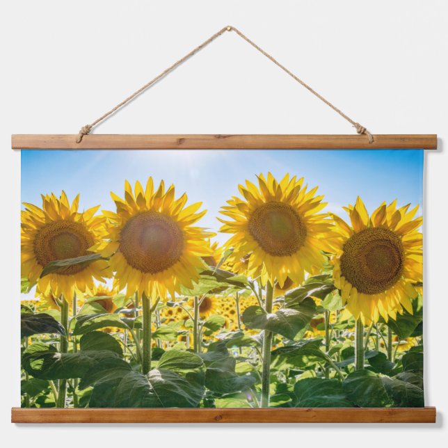 Wandteppiche (Vorne)