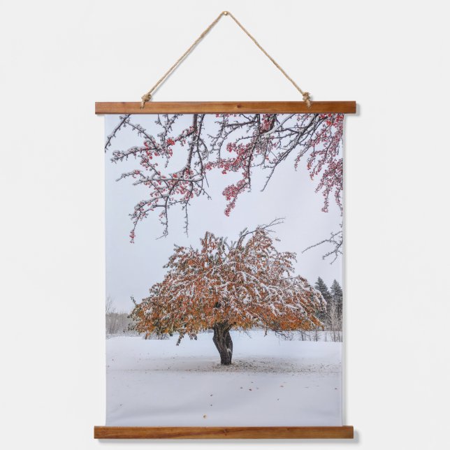 Wandteppiche (Vorderseite)