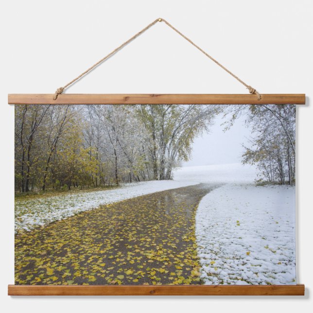 Wandteppiche (Vorne)