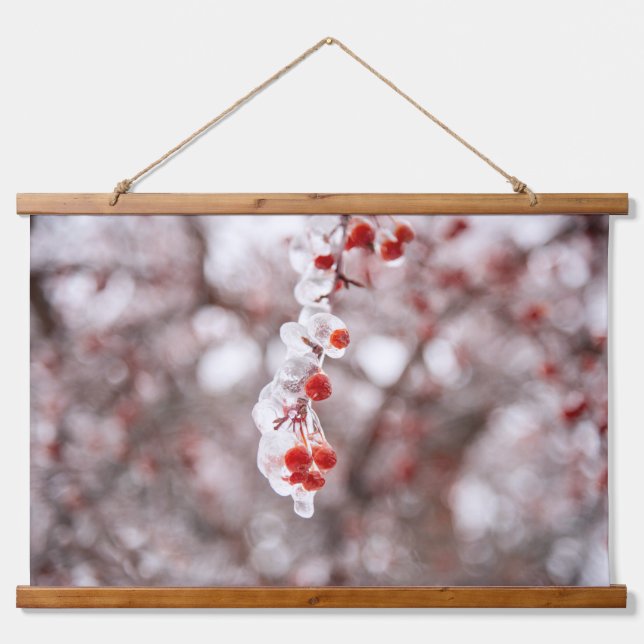 Wandteppiche (Vorne)