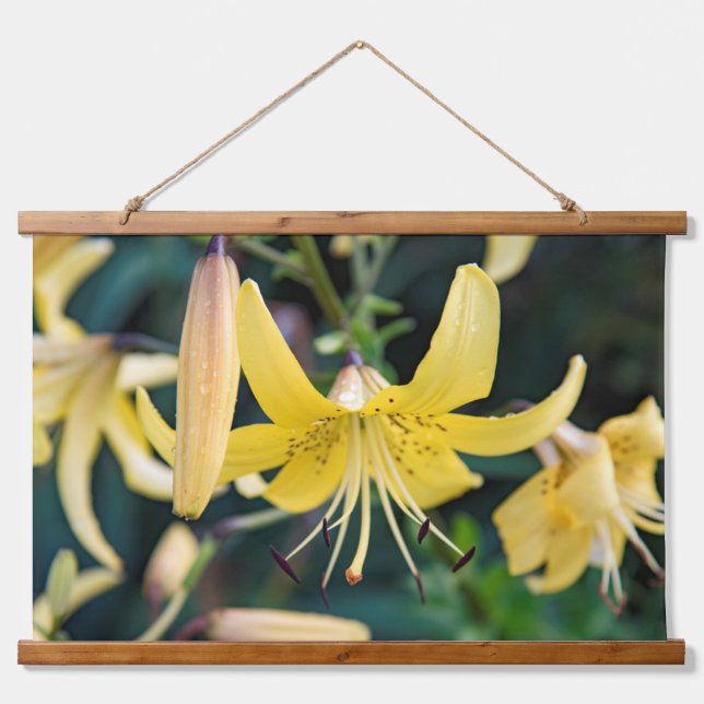 Wandteppiche (Vorne)