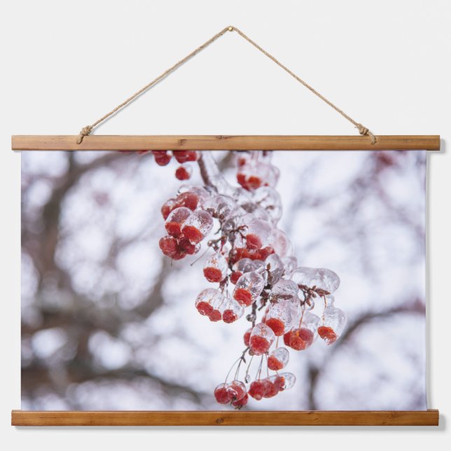 Wandteppiche (Vorne)