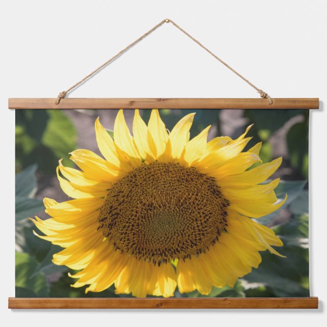 Wandteppiche (Vorne)