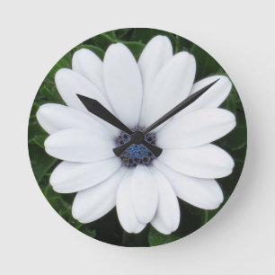 Wanduhr der weißen Blume