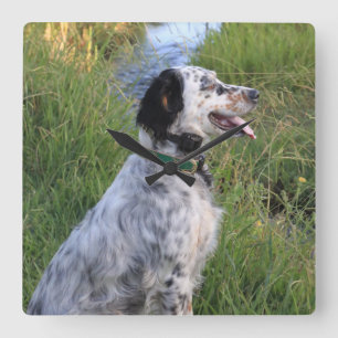 Wanduhr mit Hunden der Feder Llewellin