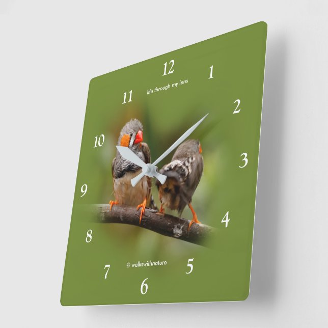 Wangenparadies Zebra Finches Songbirds Quadratische Wanduhr (Winkel)