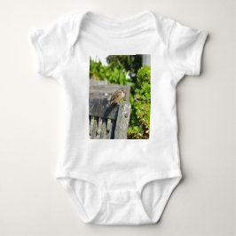 Wangenspinne Baby Strampler