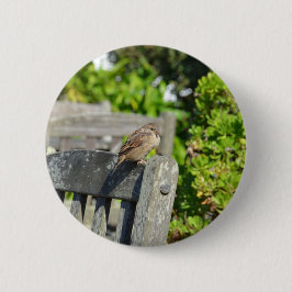 Wangenspinne Button