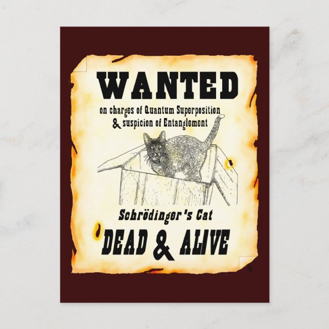 WANTED: Schrodinger's Cat Postcard Postkarte (Vorderseite)