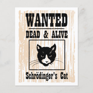 Wanted Schrödingers Katze Flyer