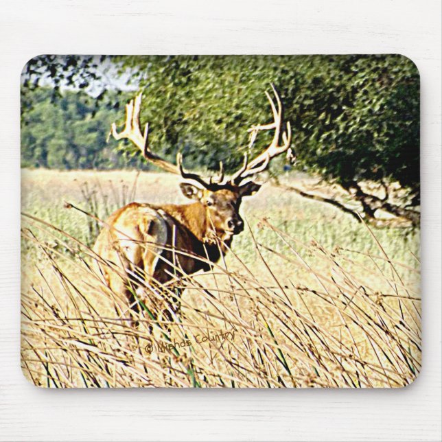 Wapiti-Bulle Mousepad (Vorne)