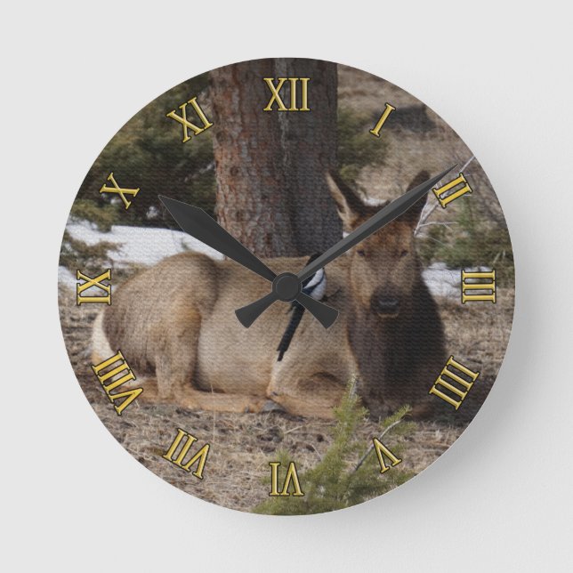 Wapiti (Elk) & Magpie Runde Wanduhr (Vorderseite)