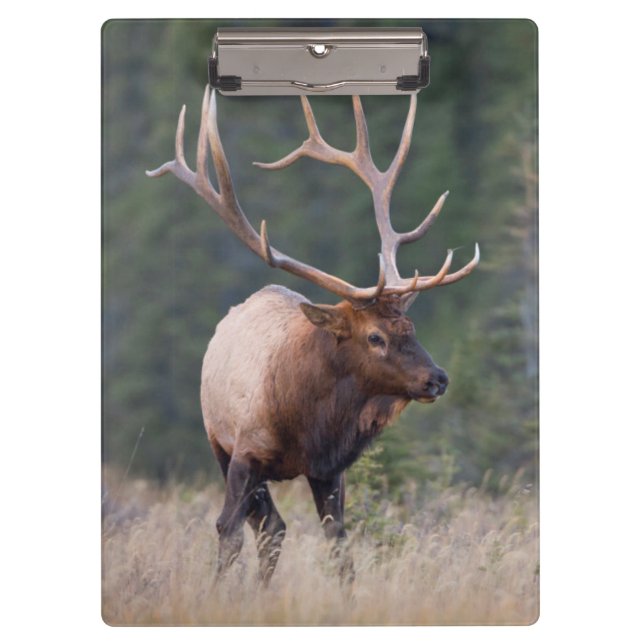 Wapiti-Hirsch Klemmbrett (Vorderseite)