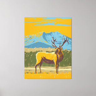 Wapiti im Rocky Mountain Nationalpark Leinwanddruck