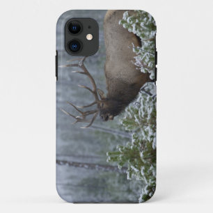Wapitihirsch im Schnee rufend, röhrend, Yellowston Case-Mate iPhone Hülle