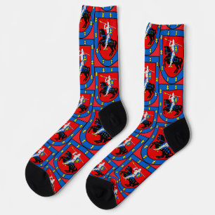 Wappen des Bezirks Vilnius Socken